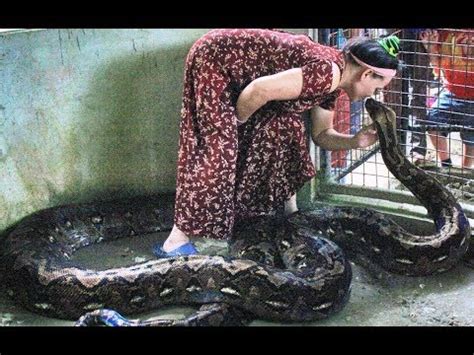 Prony, The Largest Snake In Captivity .